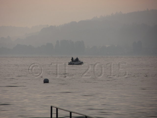 Morgennebel am Bodensee