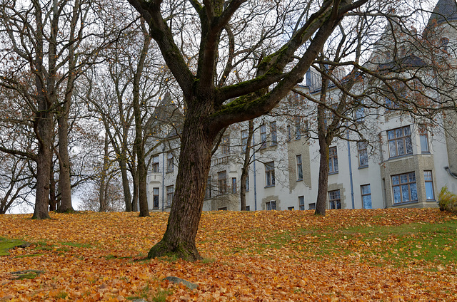 Parc en automne