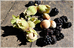 Au jardin................avec note