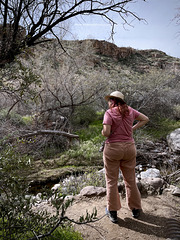 @ Boyce Thompson Arboretum