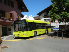 DSCN1739 Liechtenstein Bus Anstalt 8 (FL 2138) (operated by Ivo Matt A.G.)