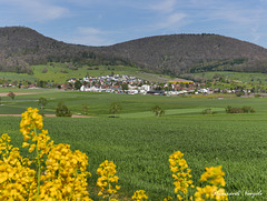 Siblngen im Klettgau Kt Schaffhausen