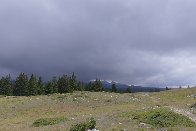 20170718 -23 Randos St Agnan en Vercors (208) al