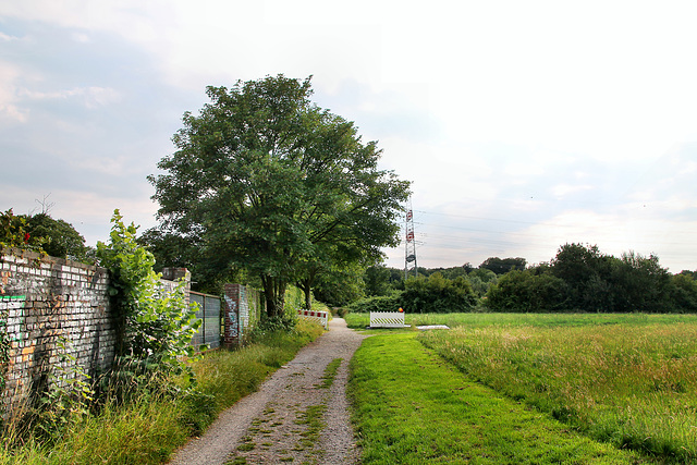 Zur Hunnenboke (Dortmund-Bodelschwingh) / 11.07.2020