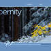 ipernity homepage with #1315