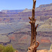 South Kaibab Trail