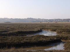 Promenade aux bas champs , en bord de Rance,  à Pleudihen sur rance (22)