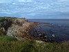 Falaise et rivage en région sauvage / Klippen und küste in wilder landschaft