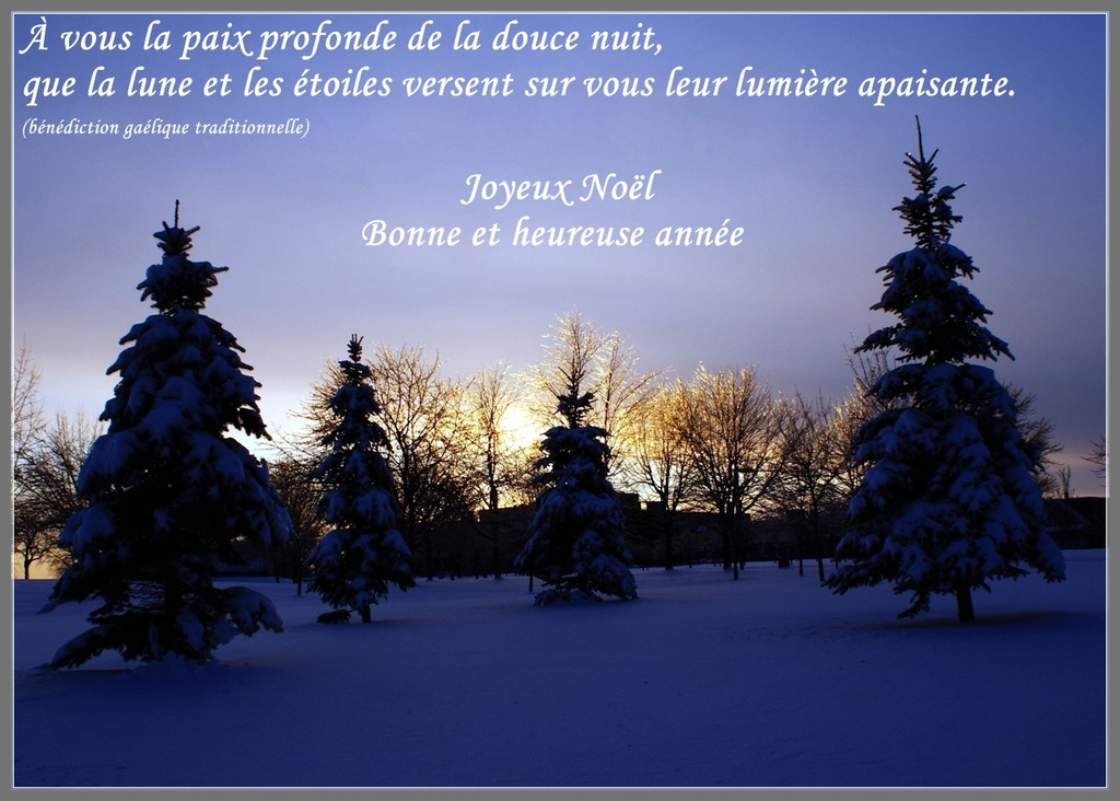 pour tous mes amis d'Ipernity