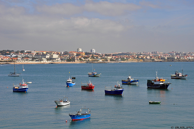 der "kleine Hafen" von Cascais (© Buelipix)