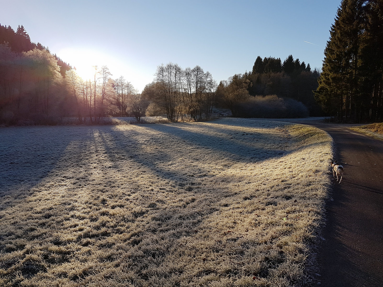 Blankenheim - Schaafbachtal