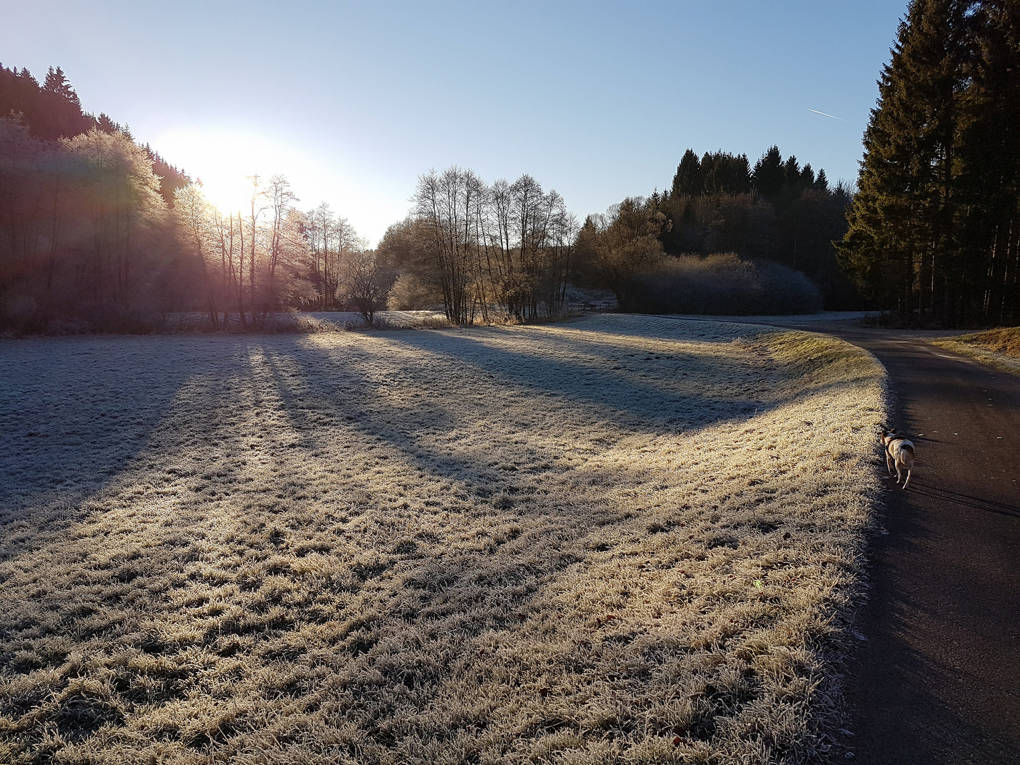 Blankenheim - Schaafbachtal
