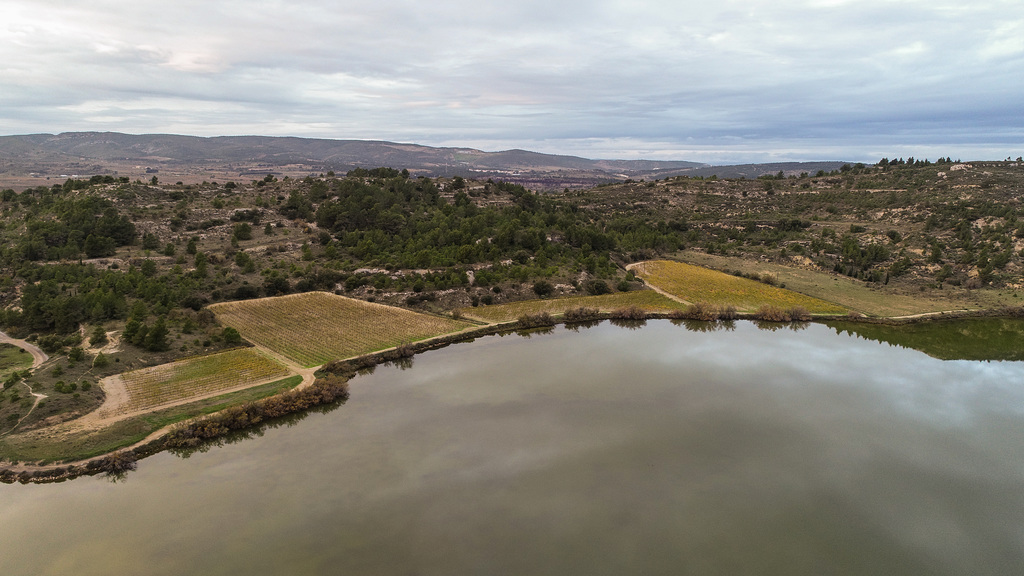 DJI 0232
