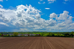 Looking towards the Wrekin