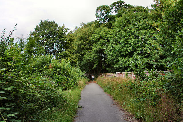 Zur Hunnenboke (Dortmund-Bodelschwingh) / 11.07.2020