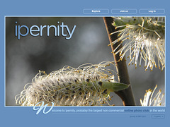 ipernity homepage with #1241
