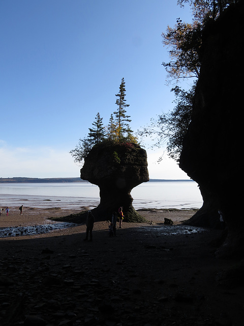 Low tide at Hopewell Rocks