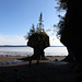 Low tide at Hopewell Rocks