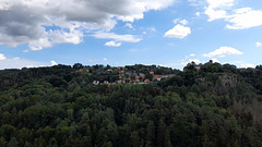 honig gauztsch 006