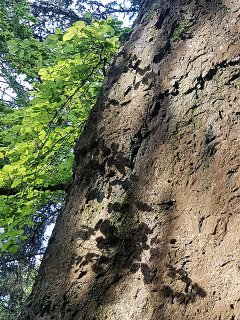 Shadow on rock