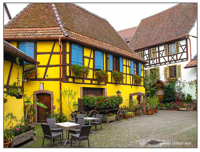 Eguisheim Herbst 24