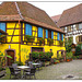 Eguisheim Herbst 24
