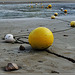 .. marée basse ..!