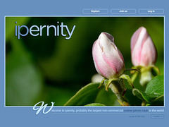ipernity homepage with #1161