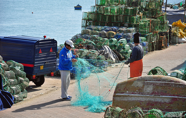 nach dem Fischfang - Cascais (© Buelipix)