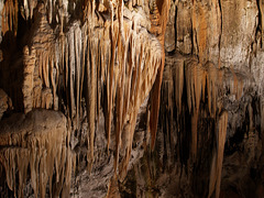 Inside Postojnska Cave
