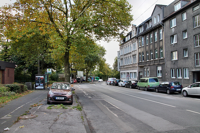 Herner Straße (Recklinghausen) / 3.10.2017