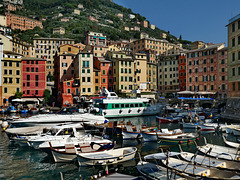 Porticciolo di Camogli