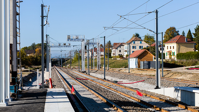 161031 Delle gare 6