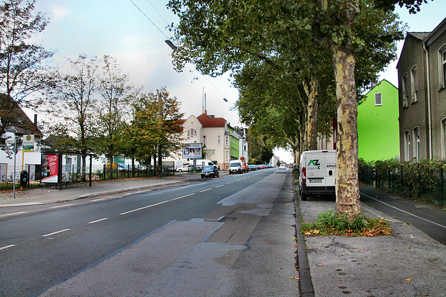 Herner Straße (Recklinghausen) / 3.10.2017