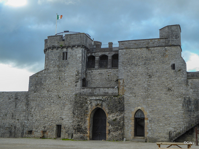 Limerick Castle