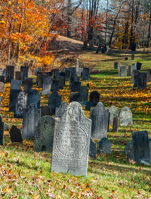 BiW-1a Buried in Williamsburg - the Changing Fashion of Remembrance