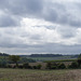 Hertfordshire view with a Q