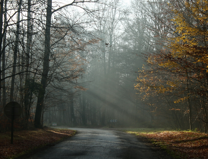 météo du jour dans l' oise : froid et brouillard .