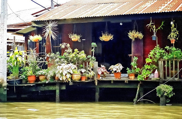 Bangkok,  Khlongs 5. ©UdoSm