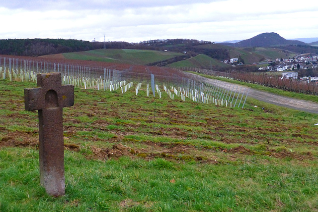 Kruzifix in den Weinbergen