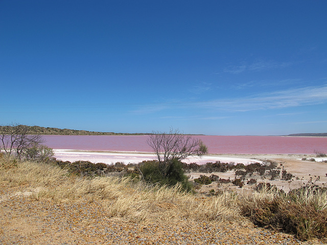 Pink Lake