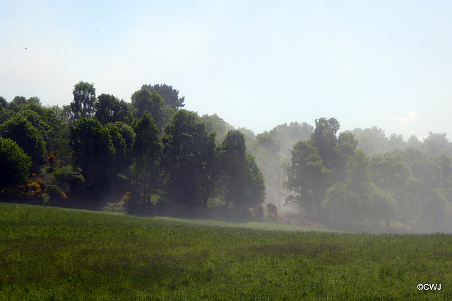 Early morning mist, you might think?