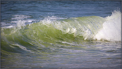 La vague verte