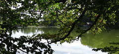 Grossweiher