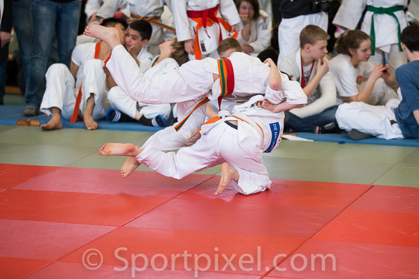 oster-judo-1374 16549315203 o