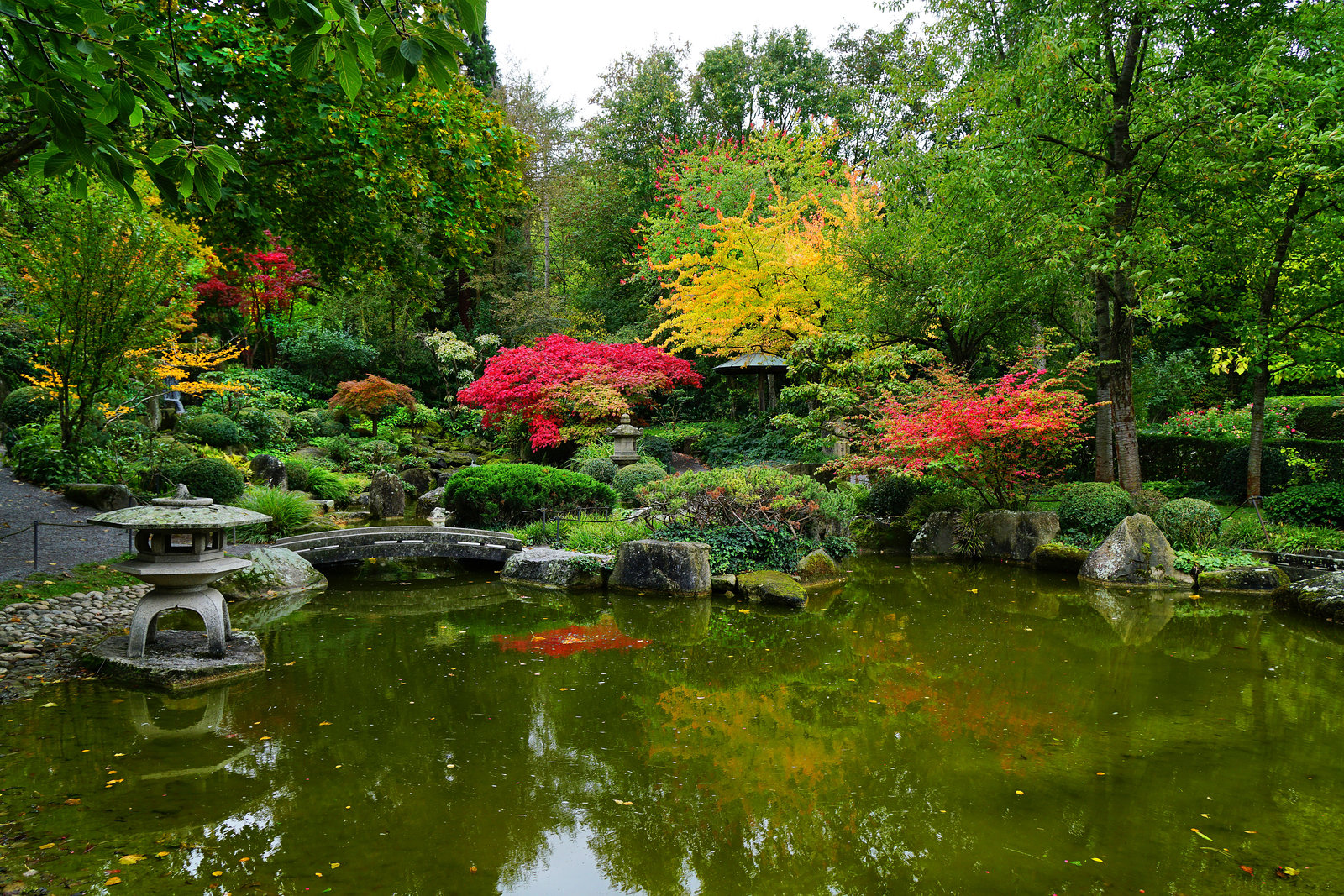 Aus der Farbenpalette des Herbstes - From the colour palette of autumn