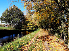 Herbst am Bach