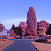 Kilmahew Fountain - IRChrome