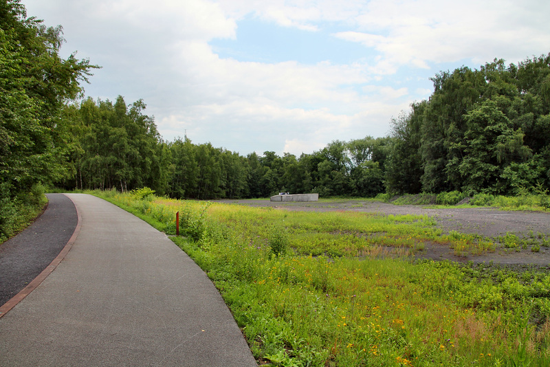 Brache an der Halde Zollverein (Essen-Stoppenberg) / 16.06.2018