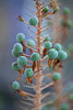 DSCF0715